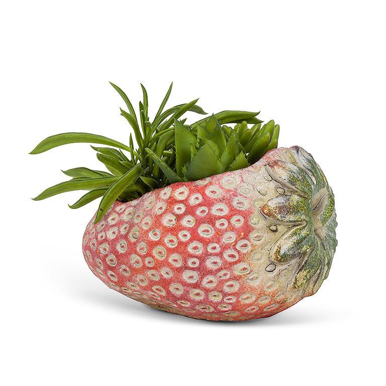 Abbott laying strawberry planter with a green plant