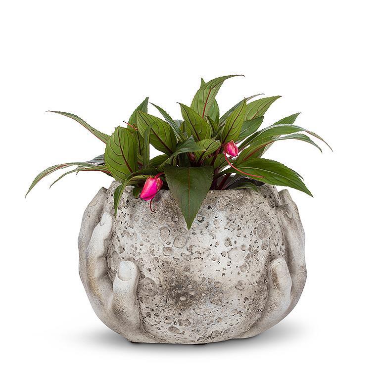 Abbott small moon in hands cement planter holding a flowering plant