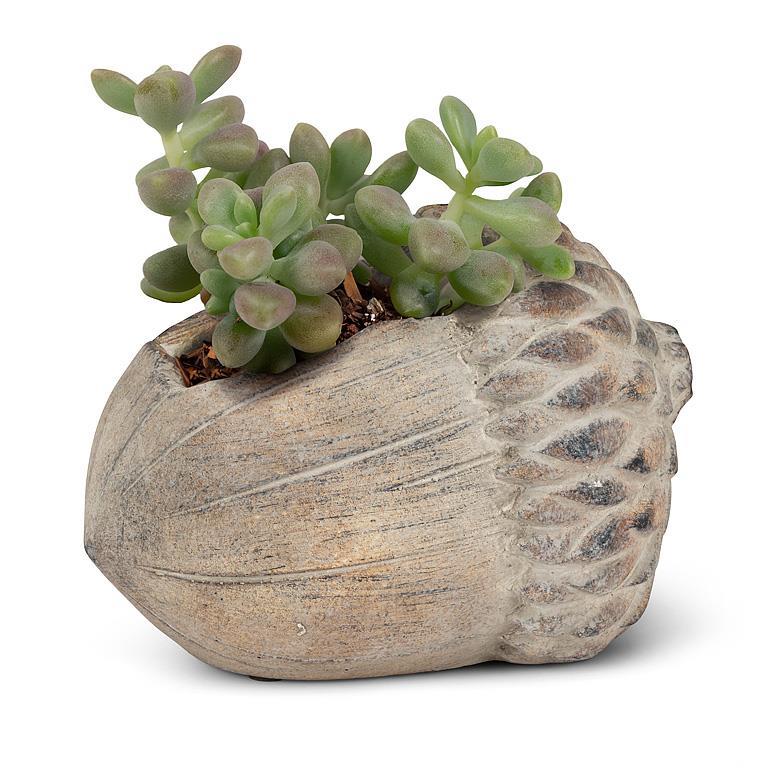 Abbott small acorn planter with succulents