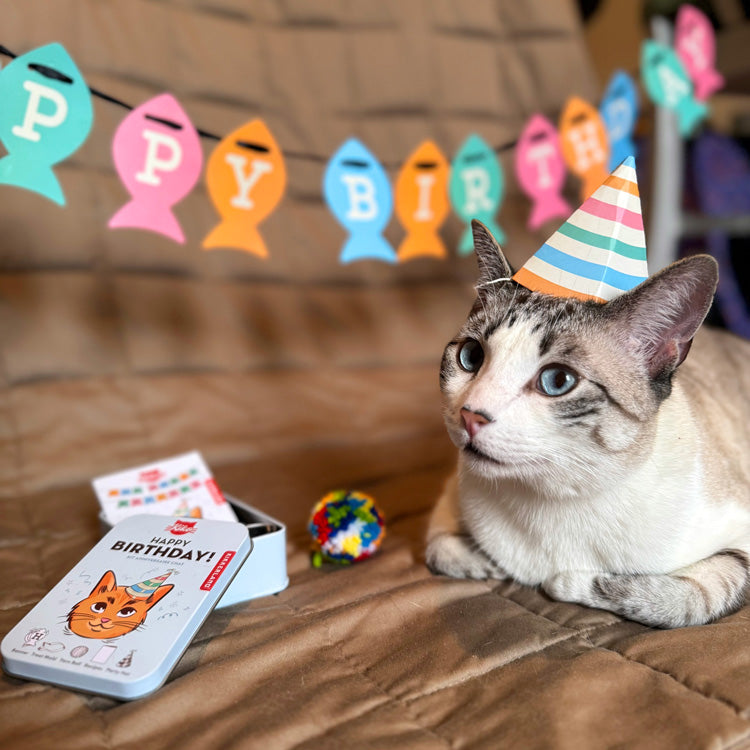 Cat celebrating with the Kikkerland cat happy birthday kit