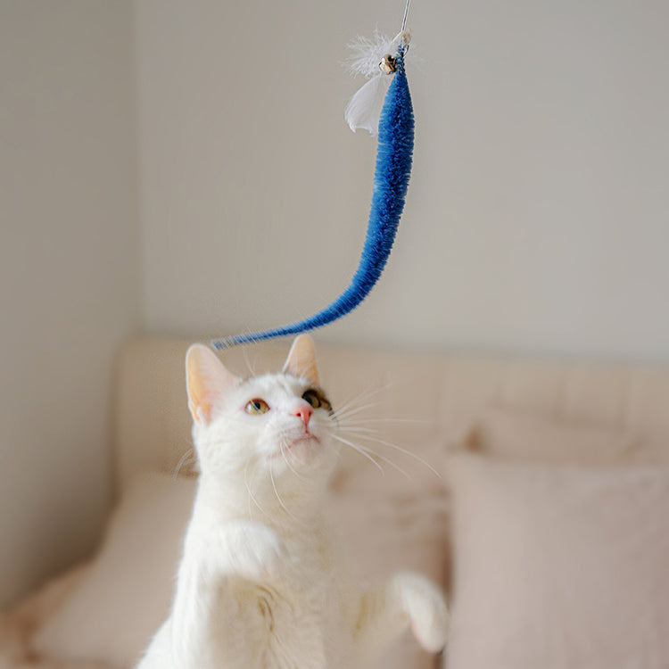 Kitten playing with the Kikkerland kitty teaser wand