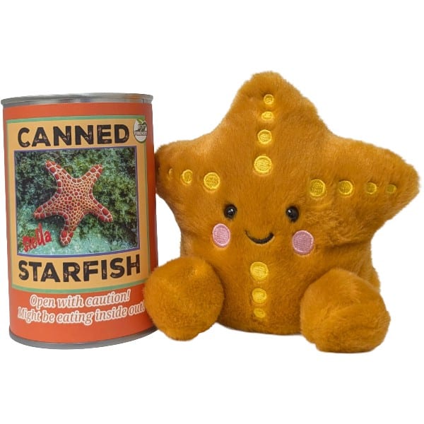 Stella the Canned Starfish plush in a can by Canned Gifts