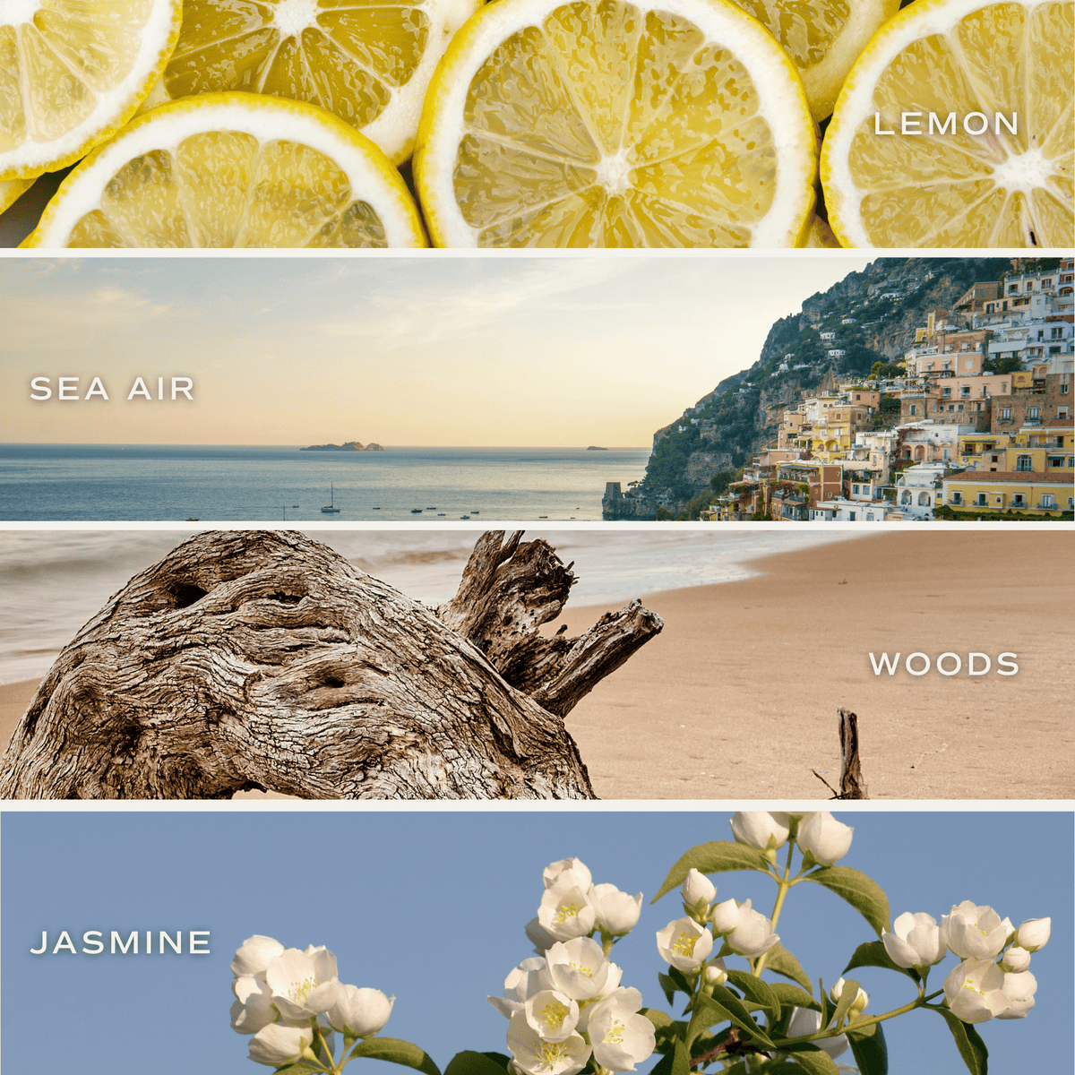 Coastal Lemon scent inspiration: sliced lemons, seaside cliffs and white blossoms