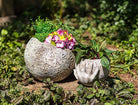 Abbott moon in hands planter styled outdoors in a garden