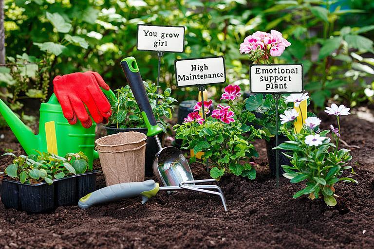 Abbott funny plant signs styled in potted garden plants