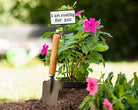 Abbott funny plant sign in a flower pot with a garden trowel