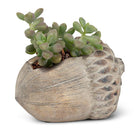 Abbott small acorn planter with succulents
