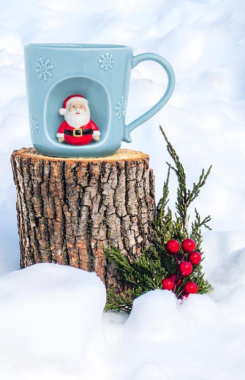 Abbott blue snowflake mug with Santa styled on a log with snow