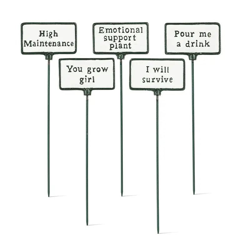Abbott antique white plant signs, set of 5