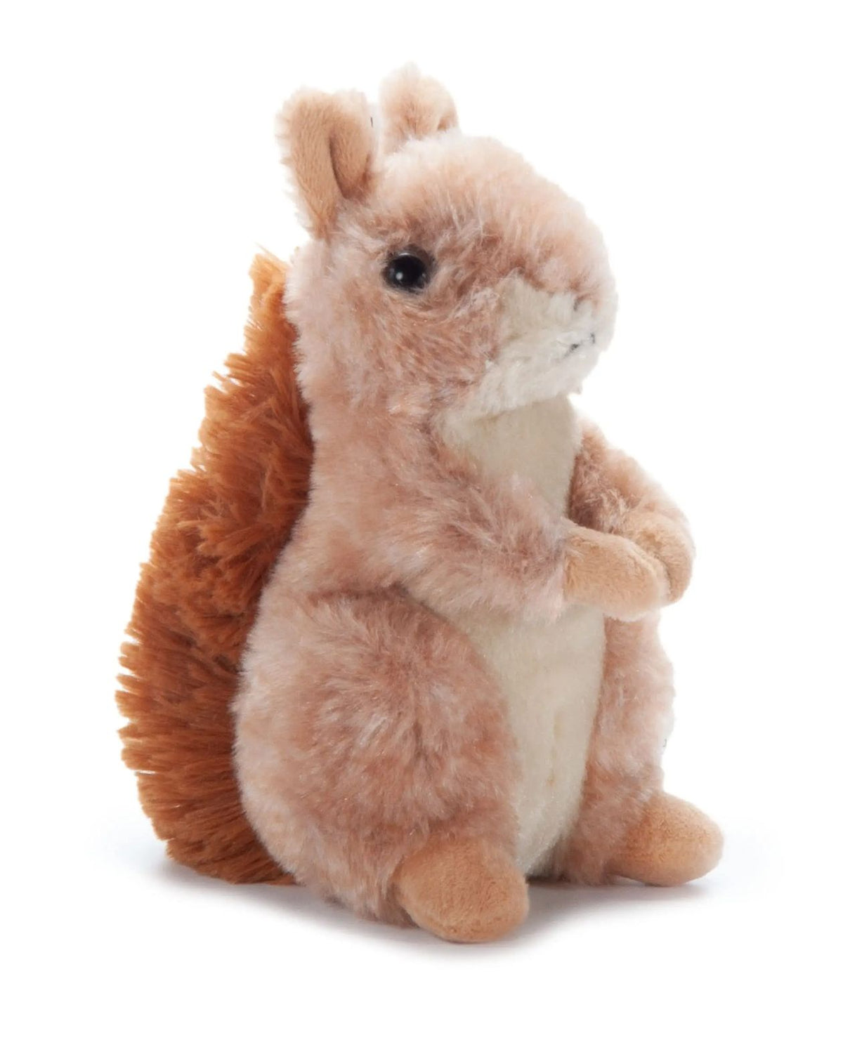 Plush squirrel toy on a white background