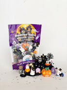 Earth Grown KidDoughs Haunted House KidDough Play Kit package with ghosts and pumpkins on white