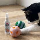 Cat playing with Kikkerland Kiko Spray and Play balls