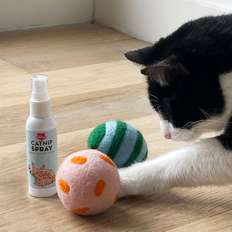 Cat playing with Kikkerland Kiko Spray and Play balls