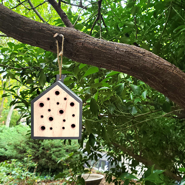 Kikkerland Little Bee Home mason bee house hanging from a tree branch