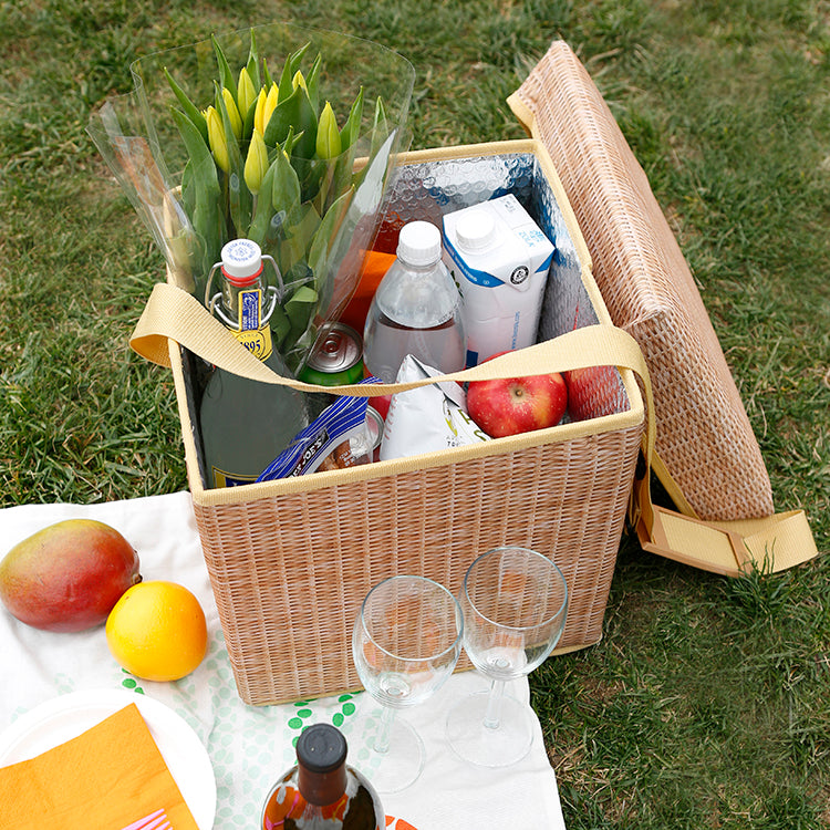Kikkerland wicker picnic cooler seat packed for a picnic on the grass