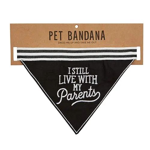 Black pet bandana with 'I Still Live with My Parents' text on a cardboard backing.