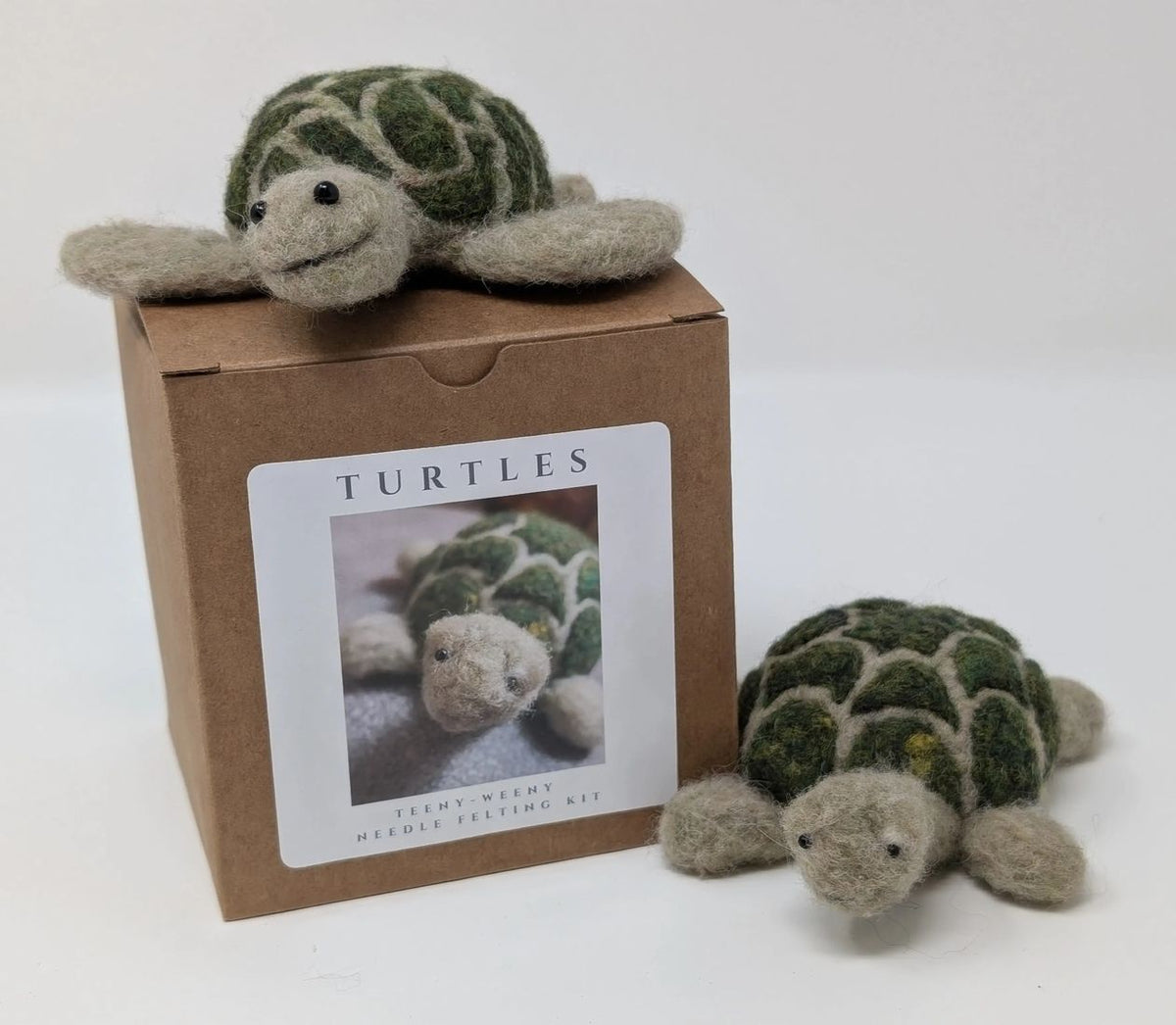 Two toy turtles and a box labeled 'Turtles' on a white background