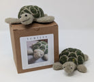 Two toy turtles and a box labeled 'Turtles' on a white background